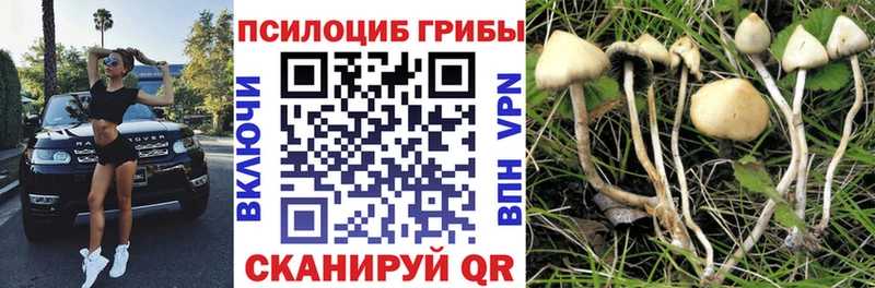 Псилоцибиновые грибы ЛСД наркошоп Ирбит
